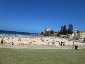 IMG_0056
