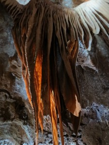 IMG_1973