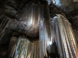 IMG_1989