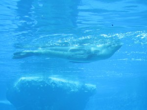 IMG_2035