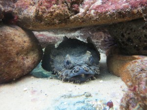 IMG_2074
