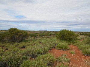 IMG_0746