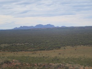 IMG_0750