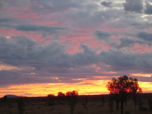 IMG_0810