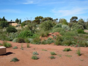 deserttwo001