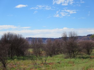 deserttwo01