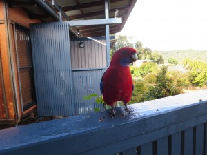 IMG_1011