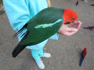 IMG_1026