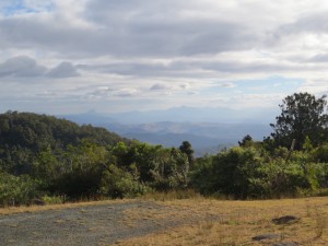 IMG_3041