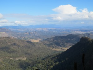 IMG_3091