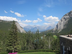 IMG_1151