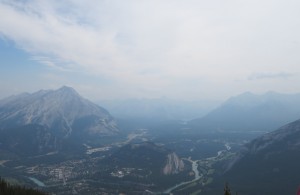 IMG_1174