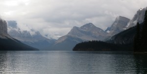 IMG_1392