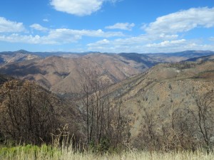 IMG_2142