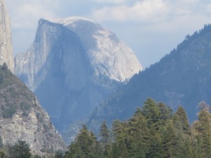 IMG_2152
