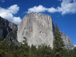 IMG_2164
