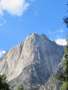 IMG_2169