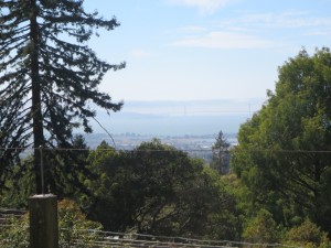 IMG_2340