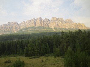 IMG_3336