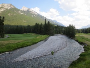 IMG_3365