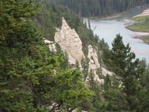 IMG_3390