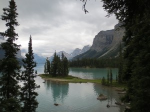 IMG_3512