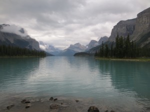 IMG_3527