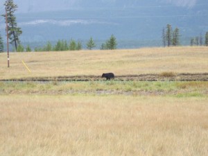 IMG_3565