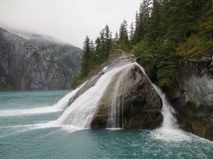 IMG_3730
