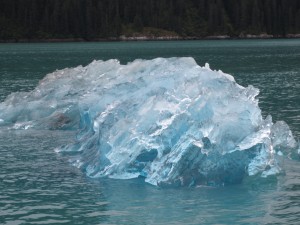 IMG_3745
