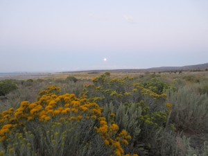 IMG_4181