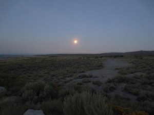 IMG_4190