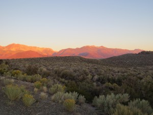 IMG_4198