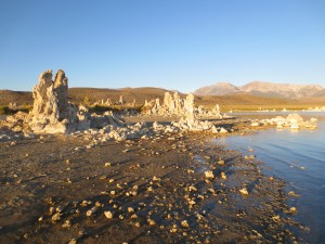 IMG_4223