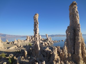 IMG_4262