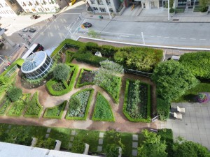 IMG_1048