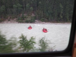IMG_1135