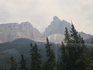 IMG_1142