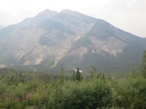 IMG_1144