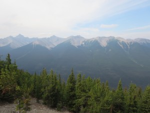IMG_1180