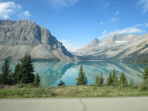 IMG_1274