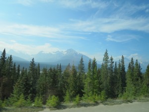 IMG_1290