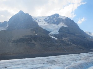 IMG_1315