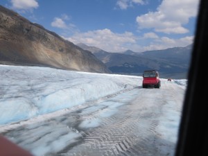 IMG_1316