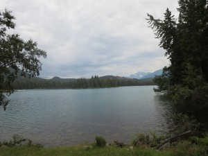 IMG_1339