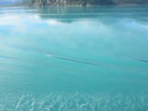 IMG_1669