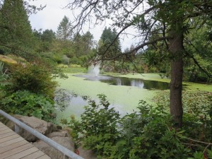 IMG_1981