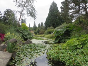 IMG_1999