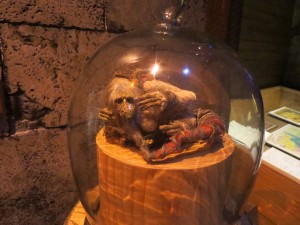 IMG_2054