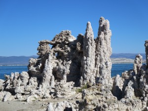 IMG_2205